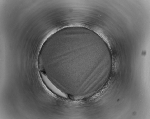 X0000098230805200805081220