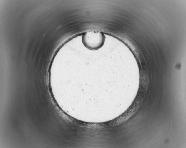 X0000098230807200805081220