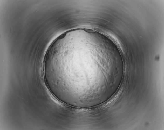 X0000098230808200805081220