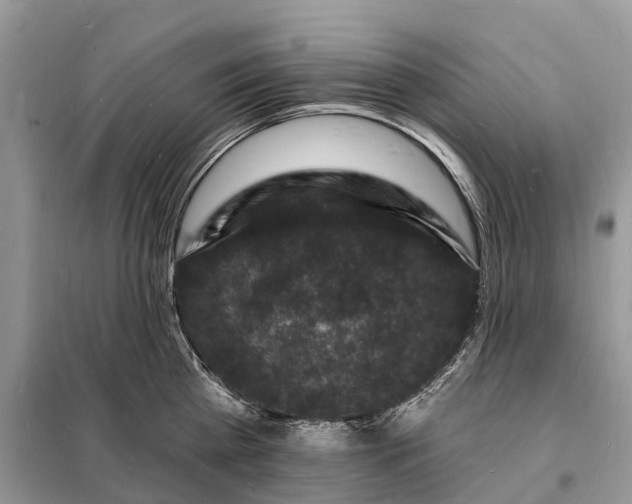 X0000098230809200805081220