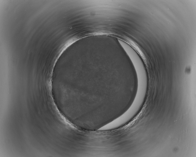 X0000098230810200805081220