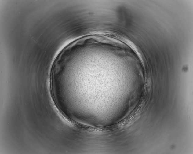 X0000098230811200805081220