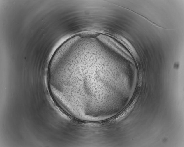 X0000098230812200805081220