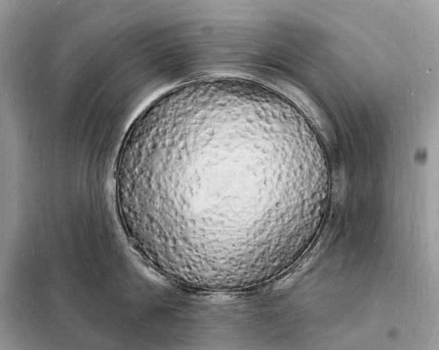 X0000098230814200805081220