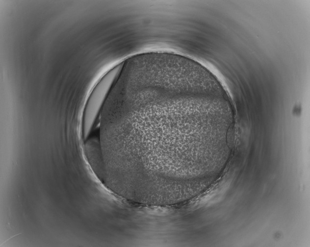 X0000098230815200805081220