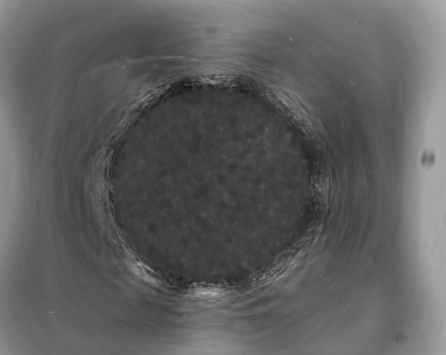 X0000098230817200805081220