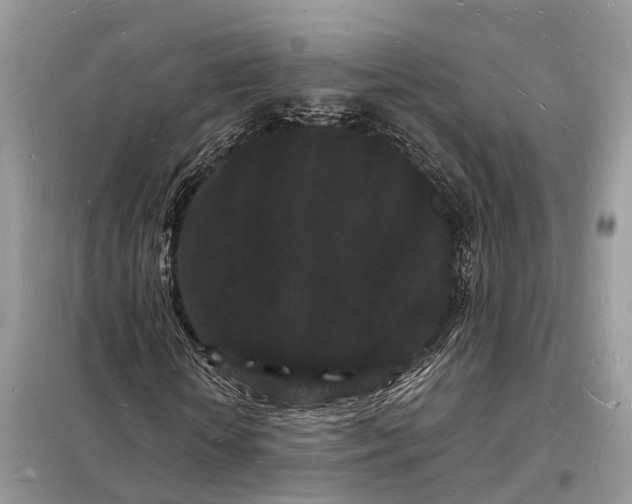 X0000098230818200805081220