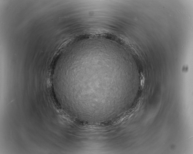 X0000098230819200805081220