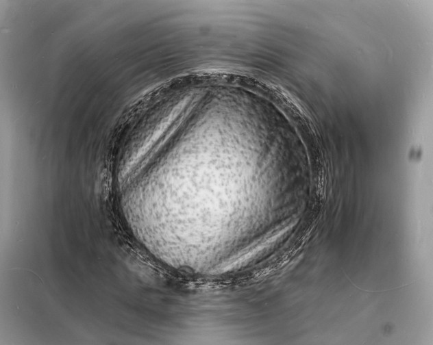 X0000098230821200805081220