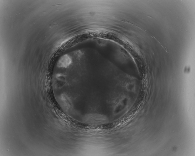 X0000098230822200805081220