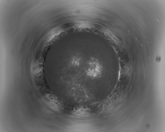 X0000098230824200805081220