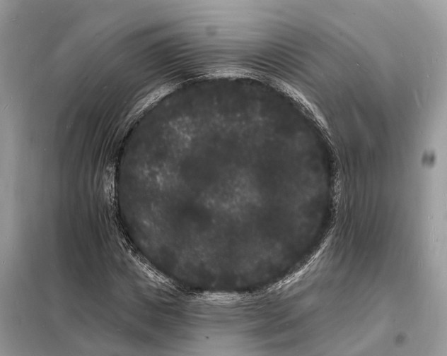 X0000098230825200805081220