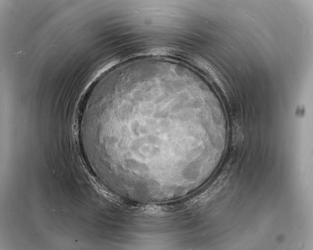 X0000098230827200805081220