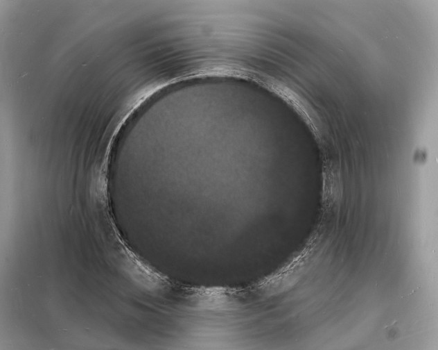 X0000098230828200805081220