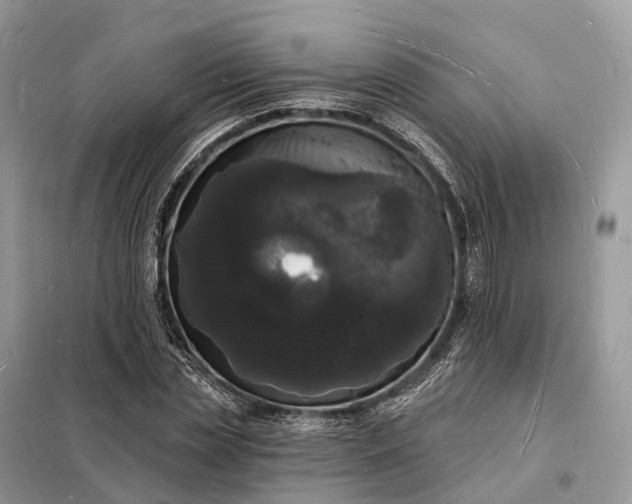 X0000098230829200805081220