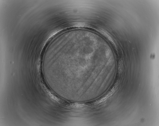 X0000098230831200805081220