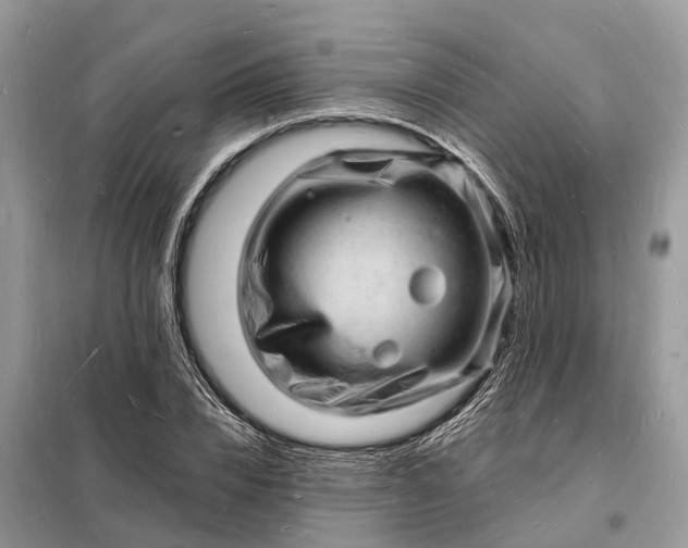 X0000098230832200805081220