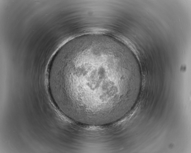 X0000098230835200805081220