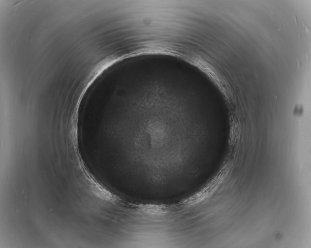 X0000098230836200805081220