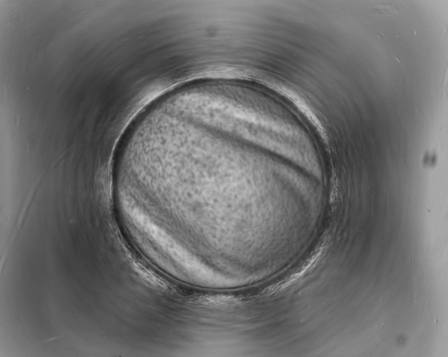 X0000098230837200805081220