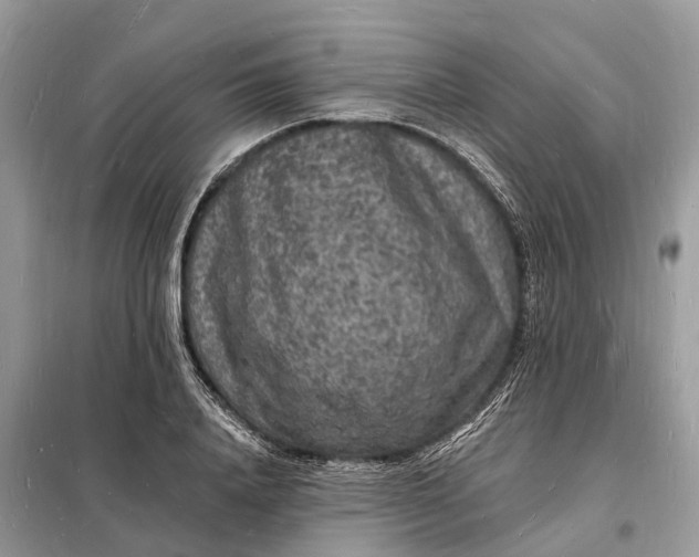 X0000098230840200805081220