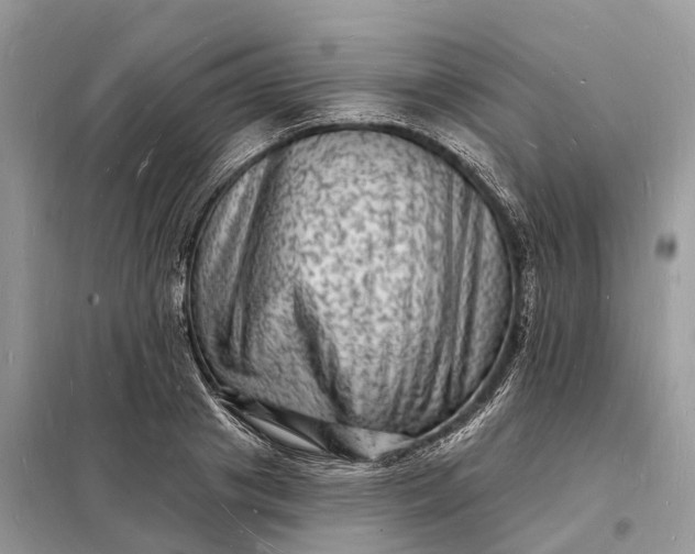 X0000098230841200805081220