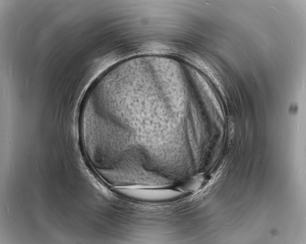 X0000098230843200805081220