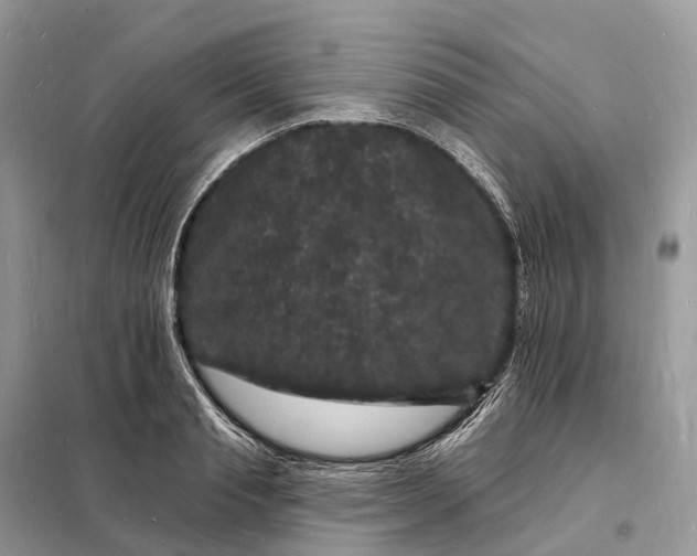 X0000098230845200805081220