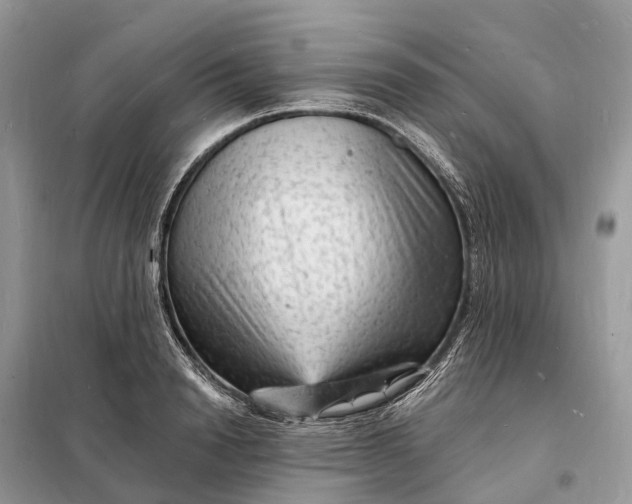 X0000098230846200805081220