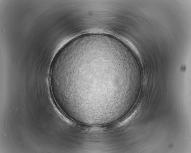 X0000098230847200805081220