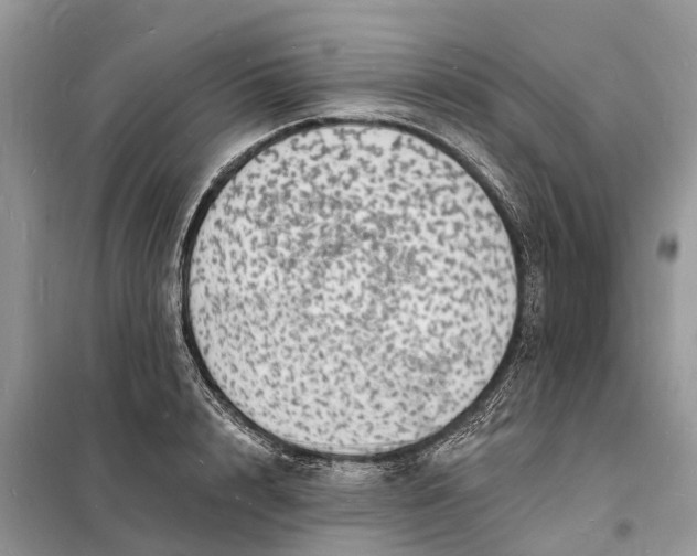 X0000098230848200805081220