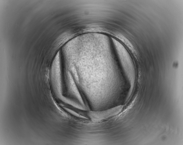 X0000098230849200805081220