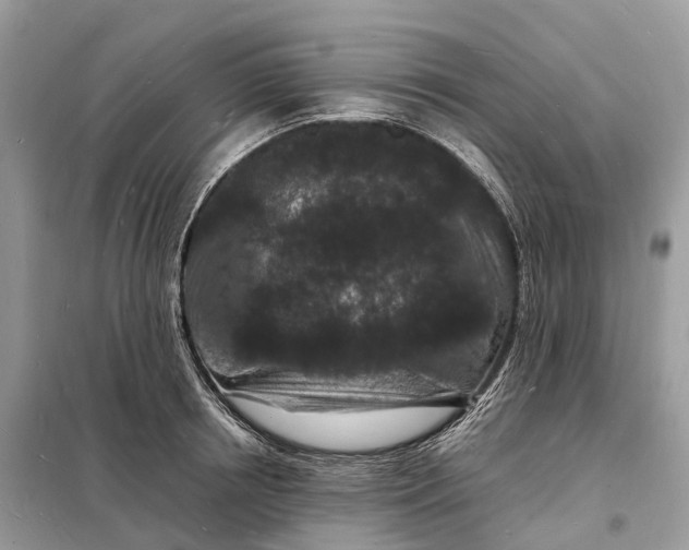 X0000098230850200805081220