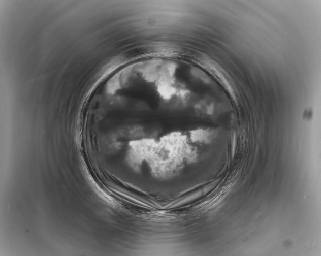 X0000098230851200805081220