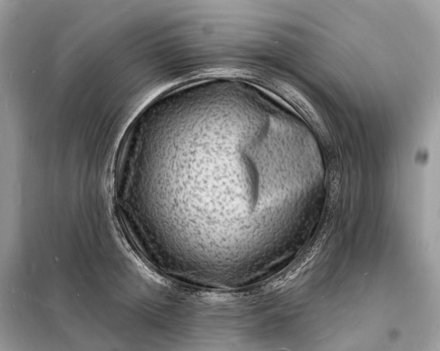 X0000098230852200805081220