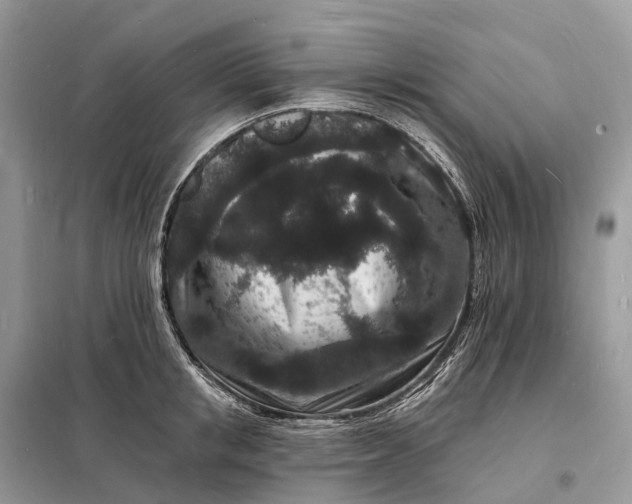 X0000098230853200805081220