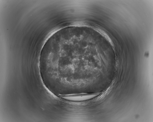 X0000098230855200805081220