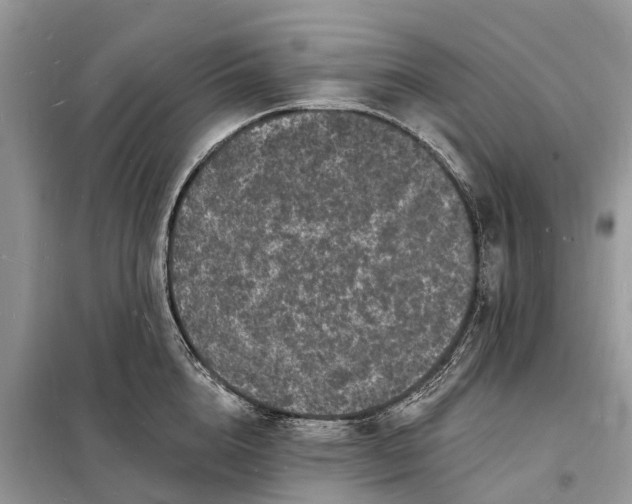 X0000098230856200805081220