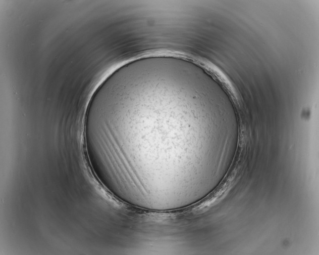 X0000098230860200805081220