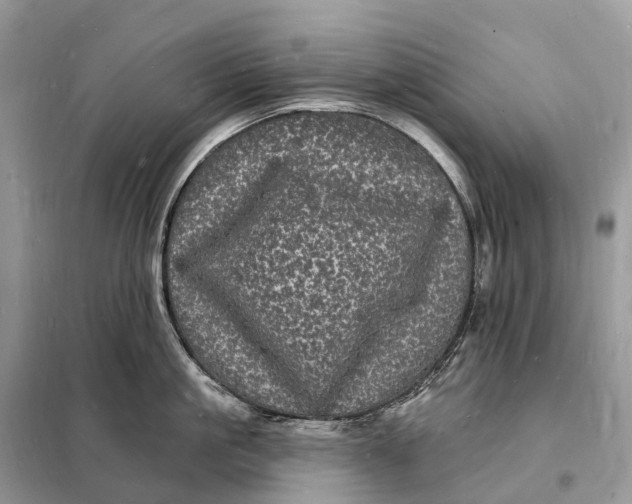 X0000098230861200805081220