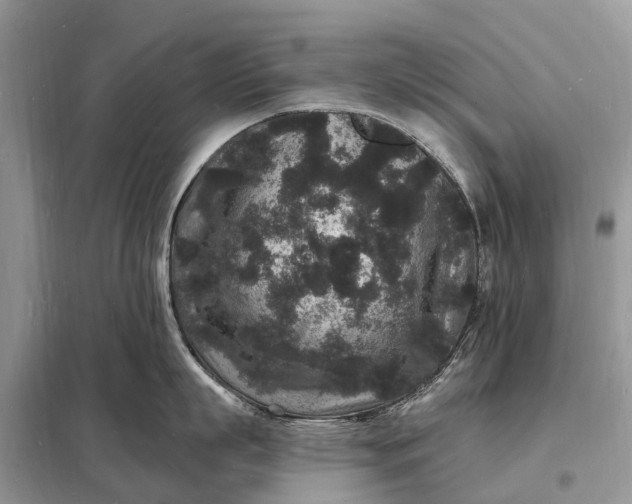 X0000098230863200805081220