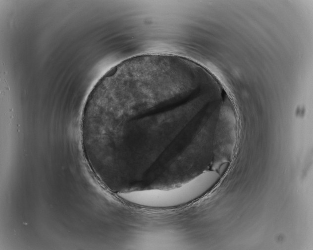 X0000098230864200805081220