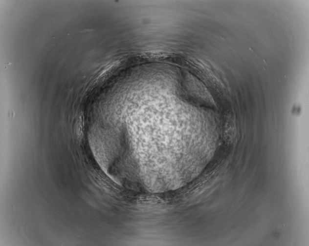 X0000098230866200805081220