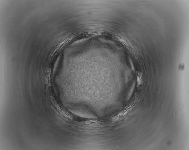 X0000098230867200805081220