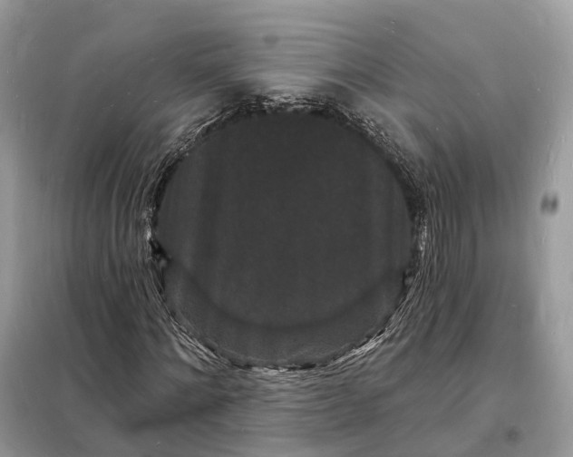 X0000098230868200805081220