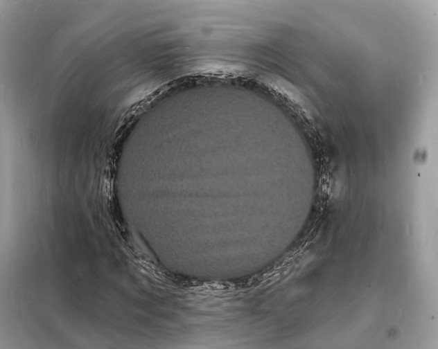 X0000098230869200805081220