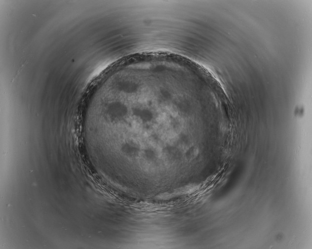 X0000098230871200805081219