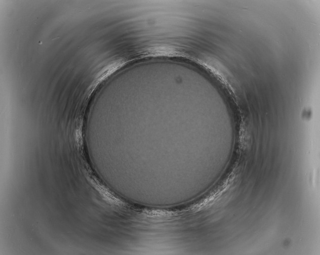 X0000098230873200805081219