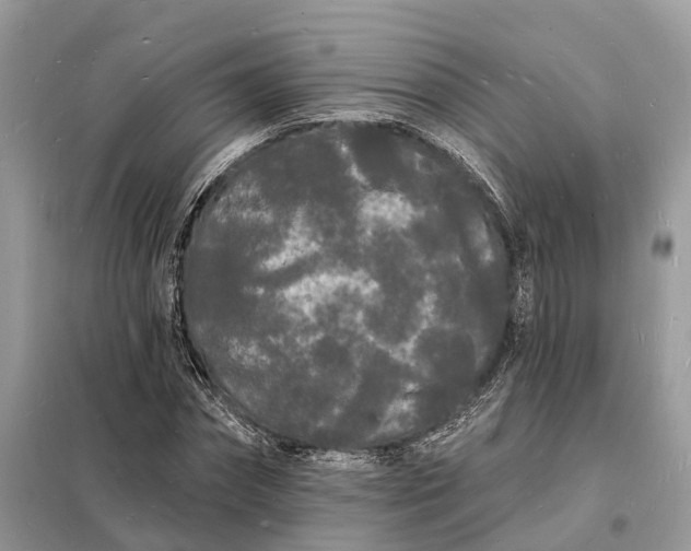 X0000098230874200805081219