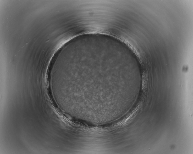 X0000098230876200805081219